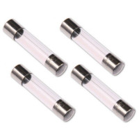 4pcs: 2 Amp Glass Fuse 250V - 5x20mm Fast Blow (2A)