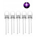 5pcs: Ultravoilet 5mm UV LED [High Quality]