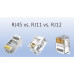 2pcs: RJ12 Plug (male) - 6P6C Connector (3 line phone connector)